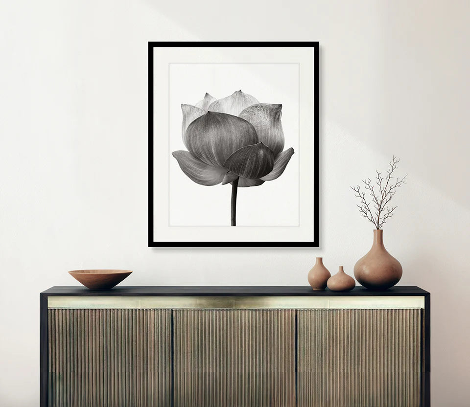 Lotus - Art Print