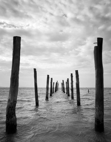 Skyward (Arthouse) - Art Print