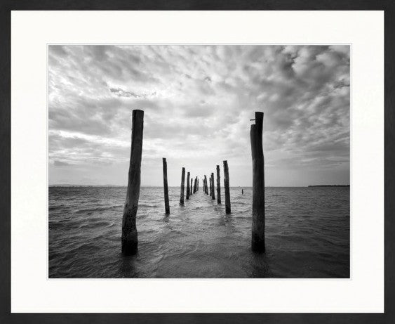 Skyward (Arthouse) - Art Print