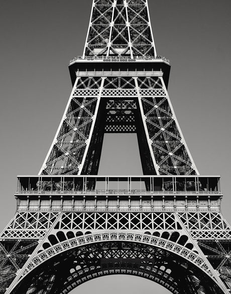 Towering Beauty - Art Print